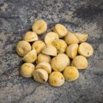 Sachet de friandises pour petit chien au poisson blanc, carotte, basilic et graines de chia – Image 6