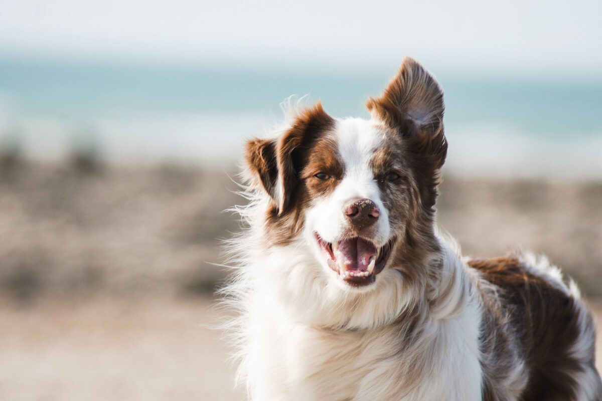 Photo de Pauline Loroy sur Unsplash