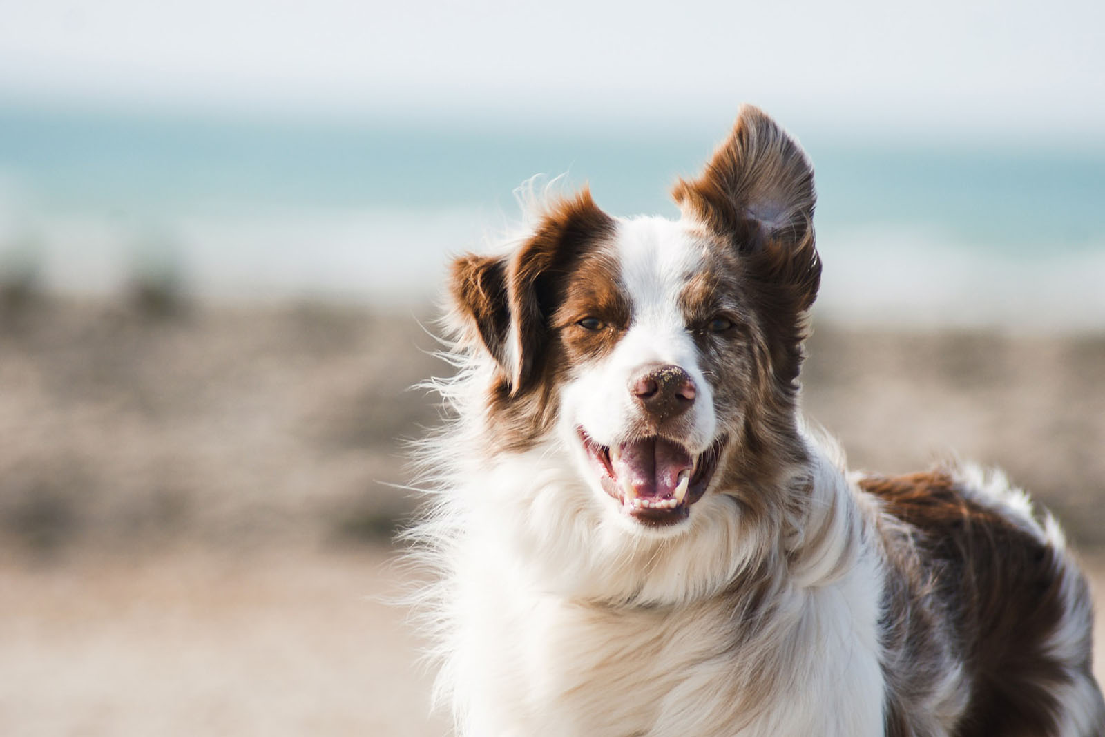 Photo de Pauline Loroy sur Unsplash