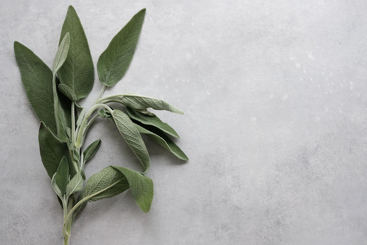 Photo de Paulina H. sur Unsplash