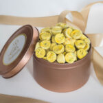 Boîte de friandises pour petit chien au poulet, courge butternut, menthe et curcuma