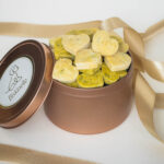 Boîte multi-saveurs de friandises pour chien : recette poulet + recette poisson