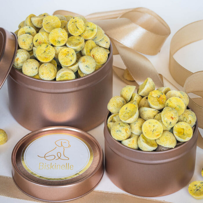 Boîte de friandises pour petit chien au poulet, courge butternut, menthe et curcuma – Image 5